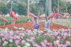 BIB: 
                            <button type="button" onclick="openModal(27344015)" class="btn btn-primary btn-sm float-right btn-popup" data-toggle="modal" data-target=".modal-high-quality">
                        <i class="fas fa-shopping-cart"></i> Add to Cart
                    </button>
                                            <button type="button" onclick="isThisMe(27344015, true)" class="btn btn-success btn-sm float-right btn-popup btn-isme hidden" data-toggle="tooltip" data-placement="bottom" title="นี่คือรูปของคุณใช่ไหม คลิกที่นี่เพื่อเอาเข้าอัลบั้ม">
                        <i class="fas fa-plus"></i> Add to album
                    </button>
                    <button type="button" onclick="isThisMe(27344015, false)" class="btn btn-warning btn-sm float-right btn-popup btn-isnotme hidden">
                        <i class="fas fa-ban"></i> Remove from album
                    </button>